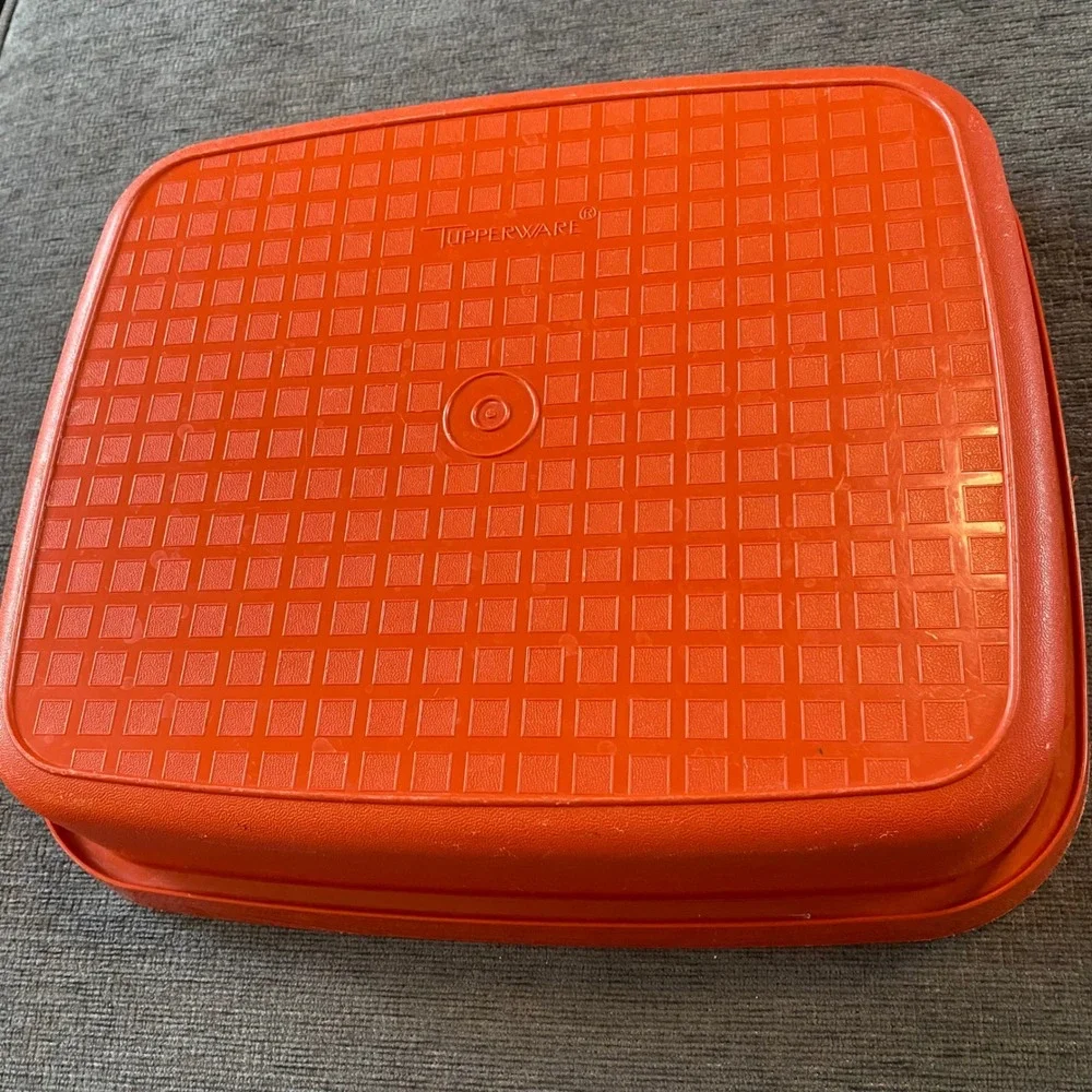 Vintage Tupperware Season N Serve Meat Marindade Rectangular
